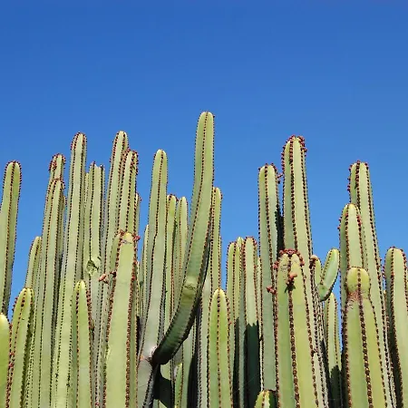 Birdie 30 By Villagrancanaria Villa *